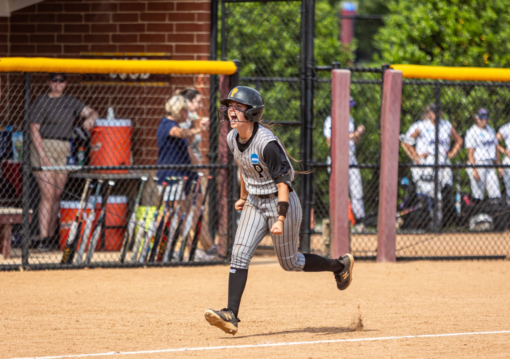 Cooper HR vs. Westminster PA - NCAA 2025