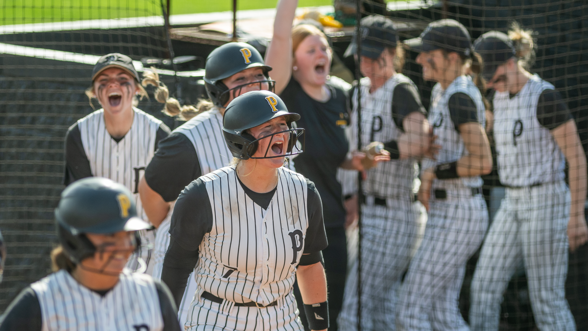 Pfeiffer softball vs. Averett 2026