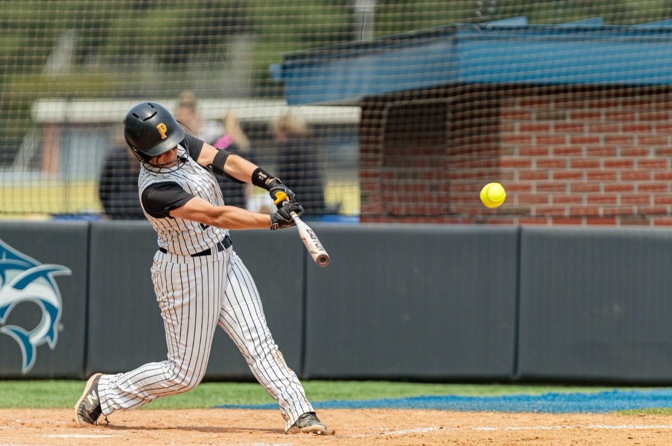 Softball at NCAA Regional - 2026