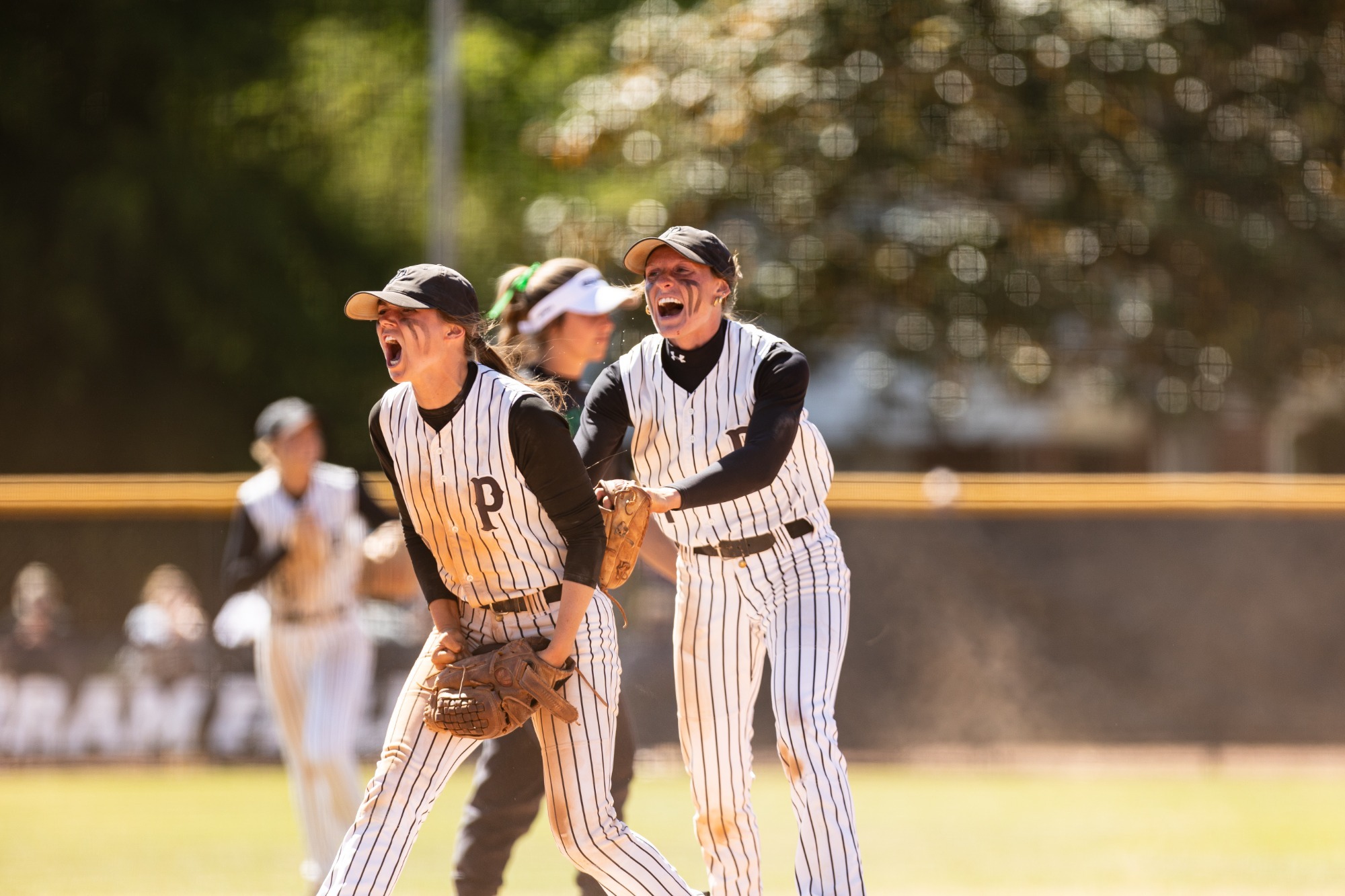 Softball vs. Greensboro - May 3, 2026