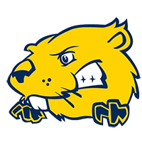 Opponent Logo