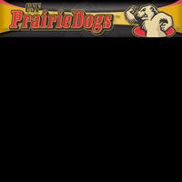 Opponent Logo
