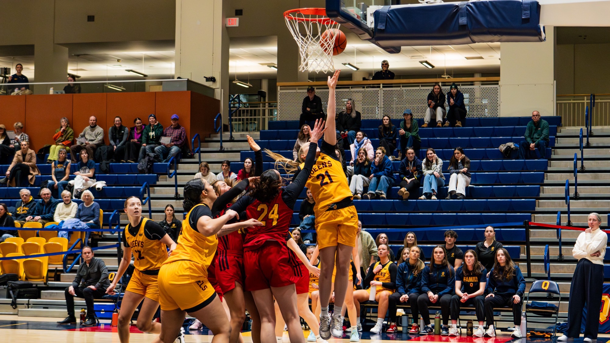 Queen's Women's Basketball 