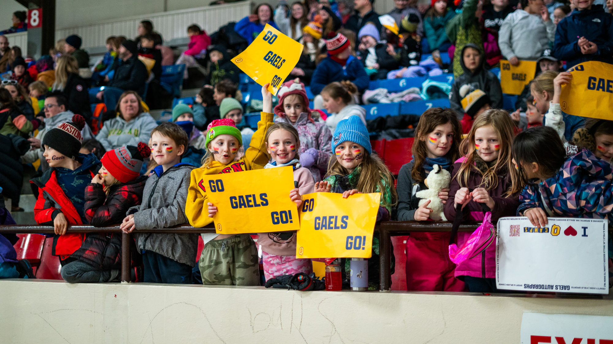 Fans at Queen's Women's Hockey's School Day Game