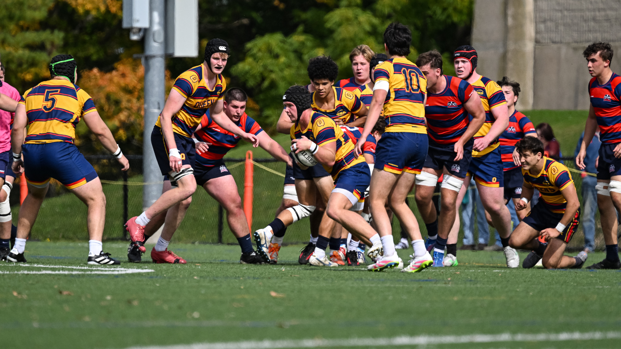Queen's Men's Rugby