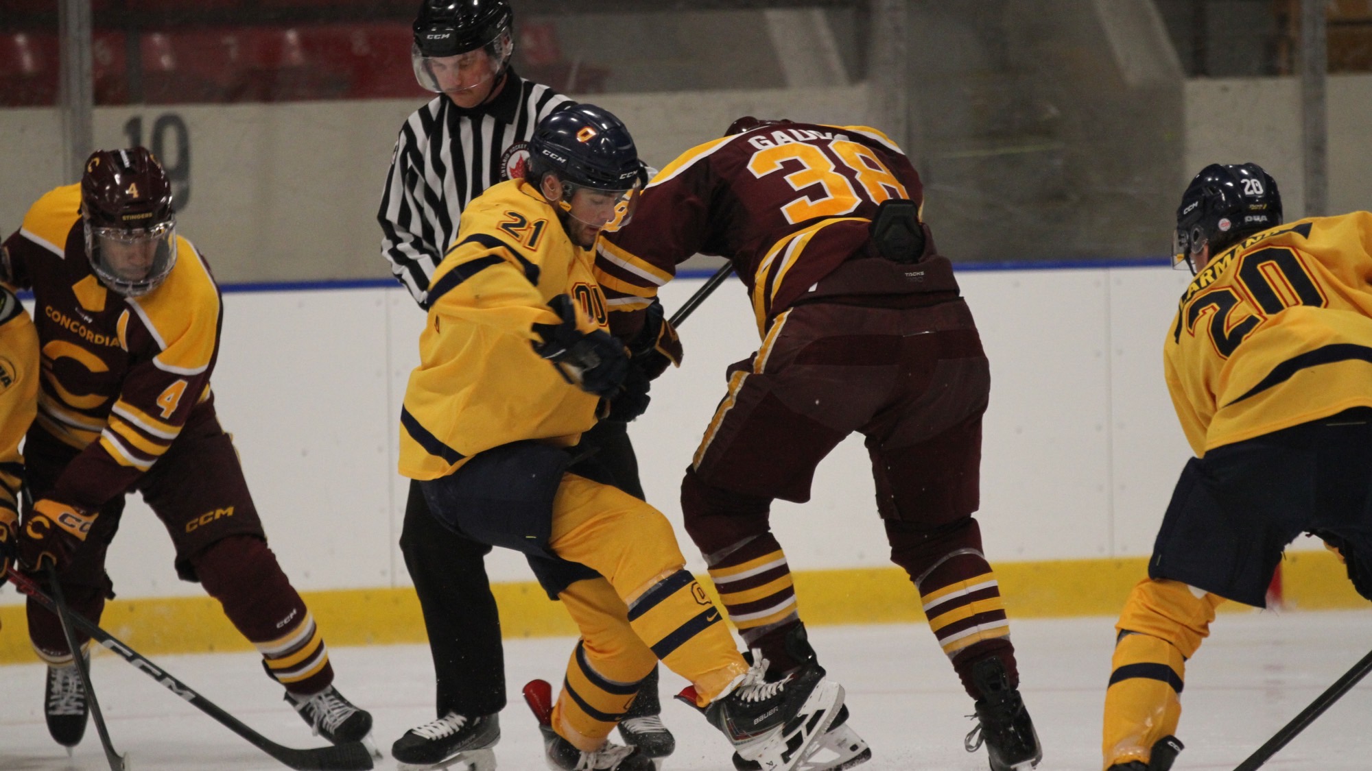 Queen's Men's Hockey 