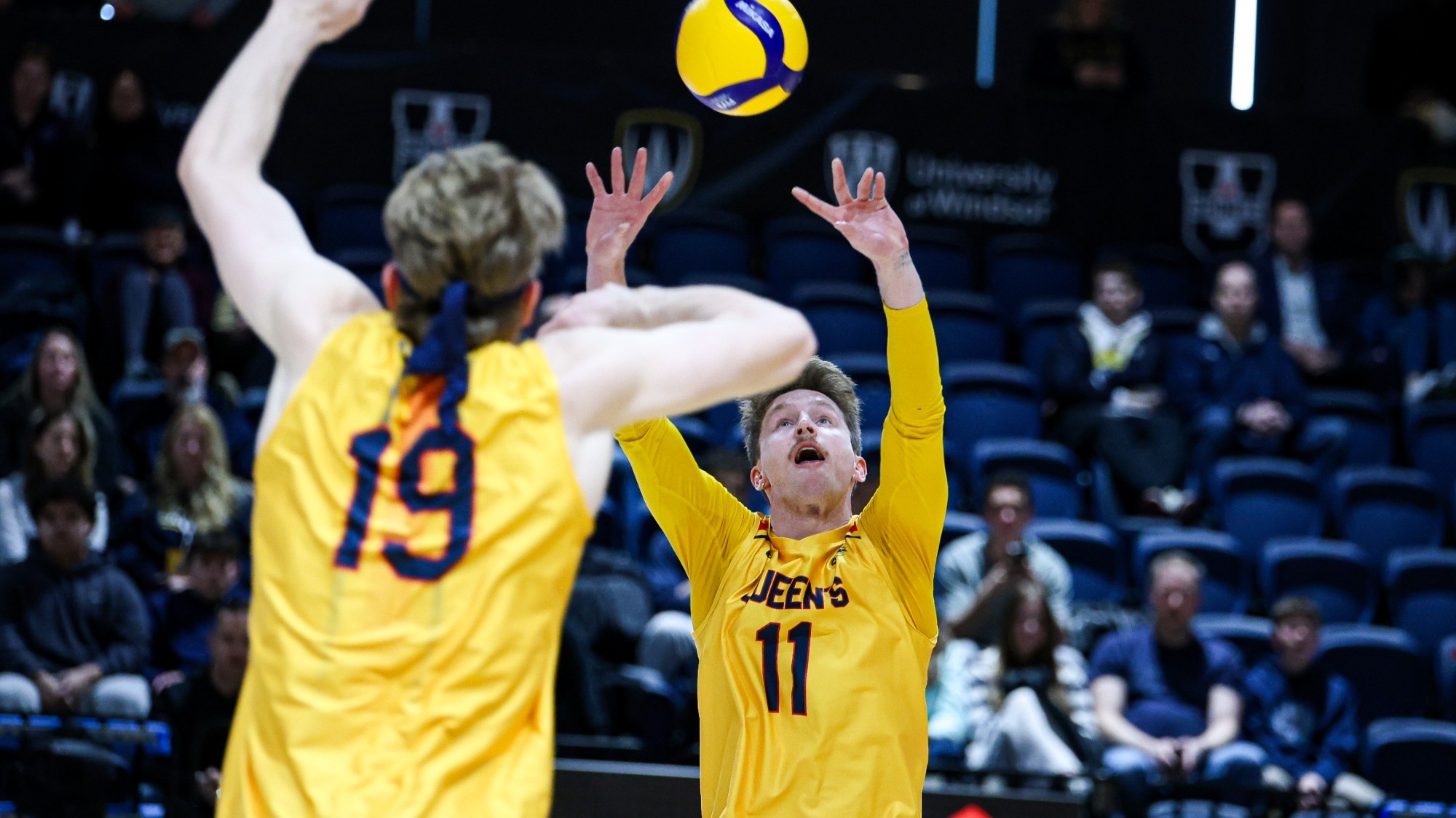 Queen's Men's Volleyball