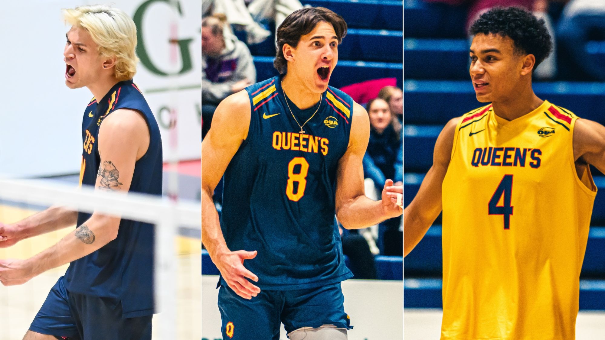 Reed Venning, Nikola Mitrovic, Carson Francis