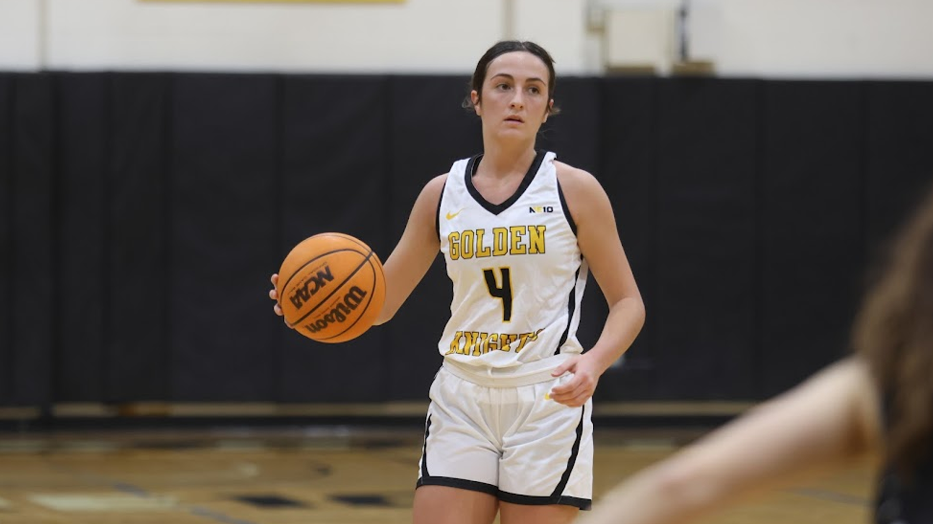 Payton Graber of The College of Saint Rose men's basketball team in action against American International College on Saturday, February 10, 2024 in Albany, New York