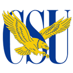 Opponent Logo