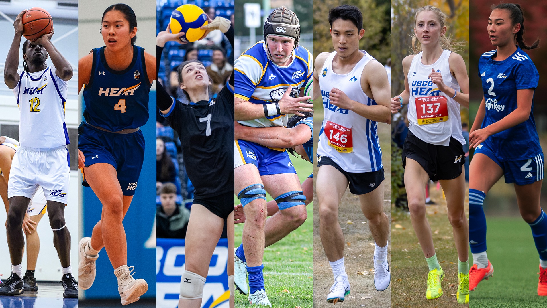 Seven Heat teams in action this week including, from left to right, men's basketball, women's basketball, women's volleyball, men's rugby, men's cross country, women's cross country and women's soccer