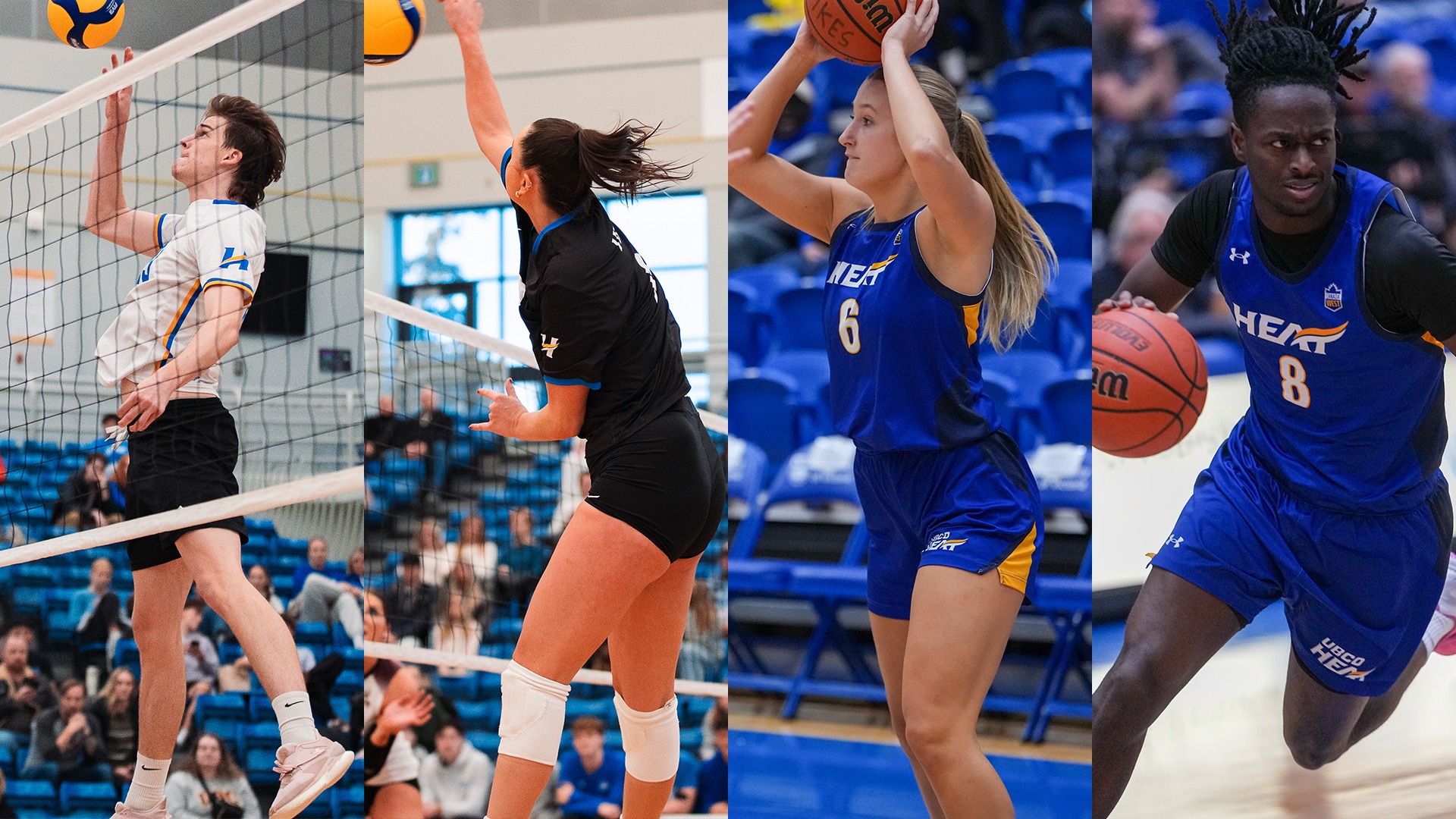 From left to right men's volleyball, women's volleyball, women's basketball and men's basketball are all in action this week.