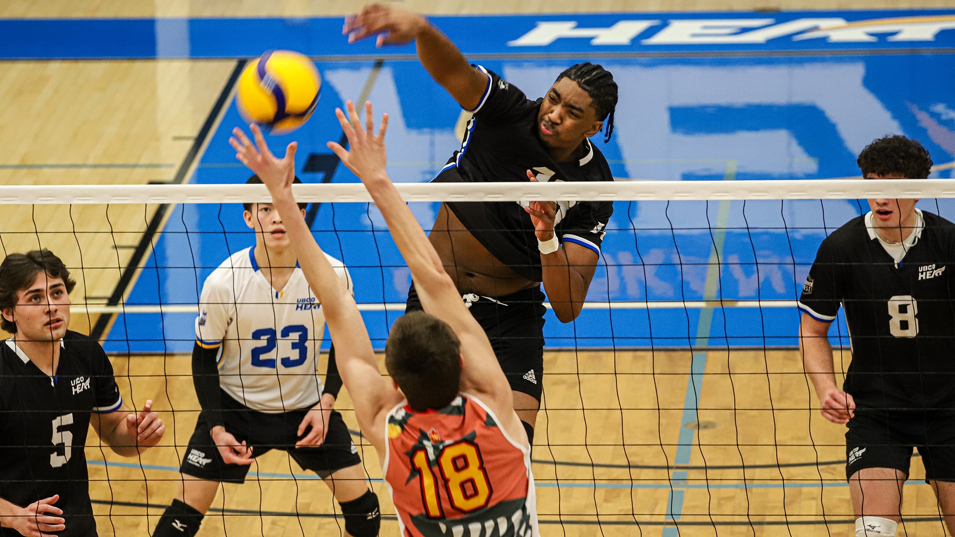 UBCO middle Ashton South fires a shot past a Calgary defender during action against the Dinos at the UBCO Gymnasium.