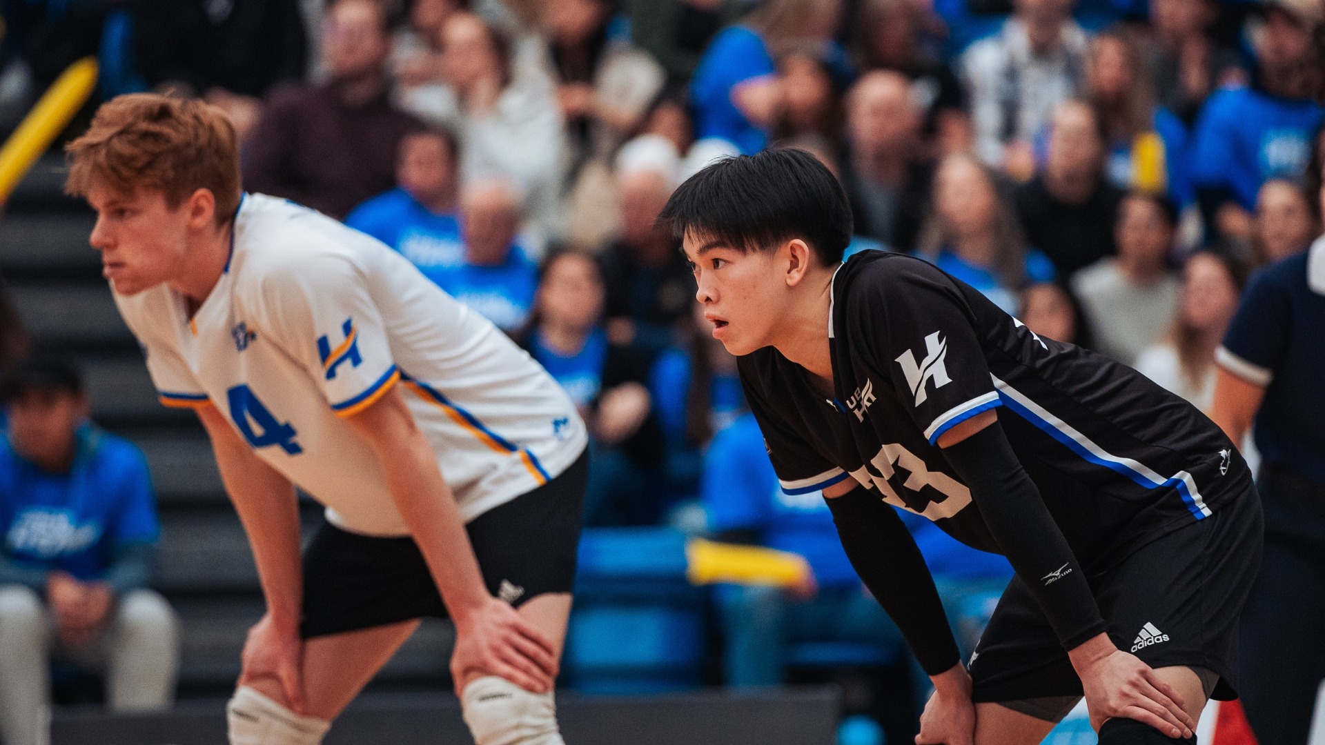 Lucas Woelders and James Tse show focus before attempting to receive a ball during a playoff game last season.