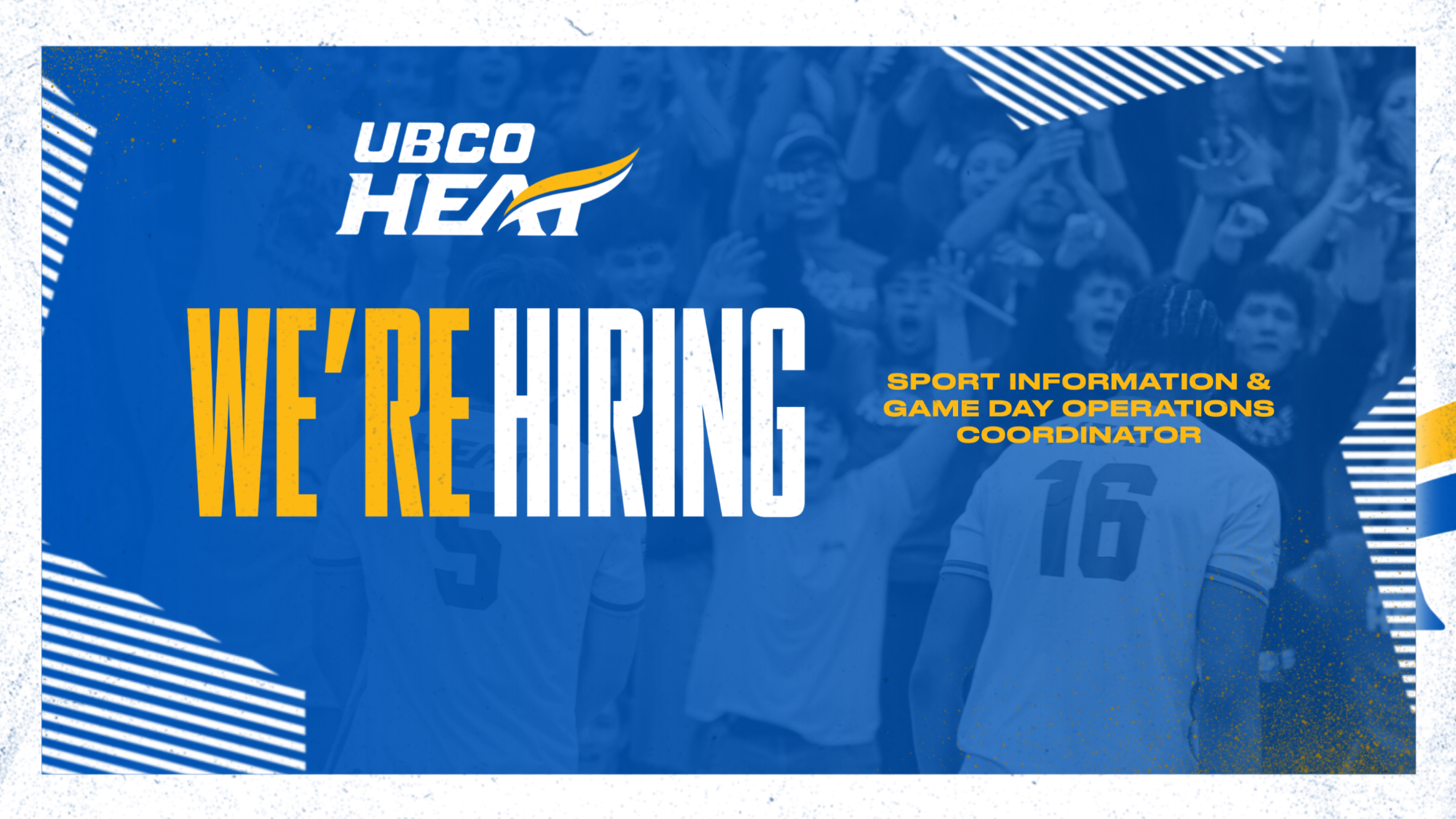 Graphic announcing open job for a Sport Information and Game Day Operations Coordinator position