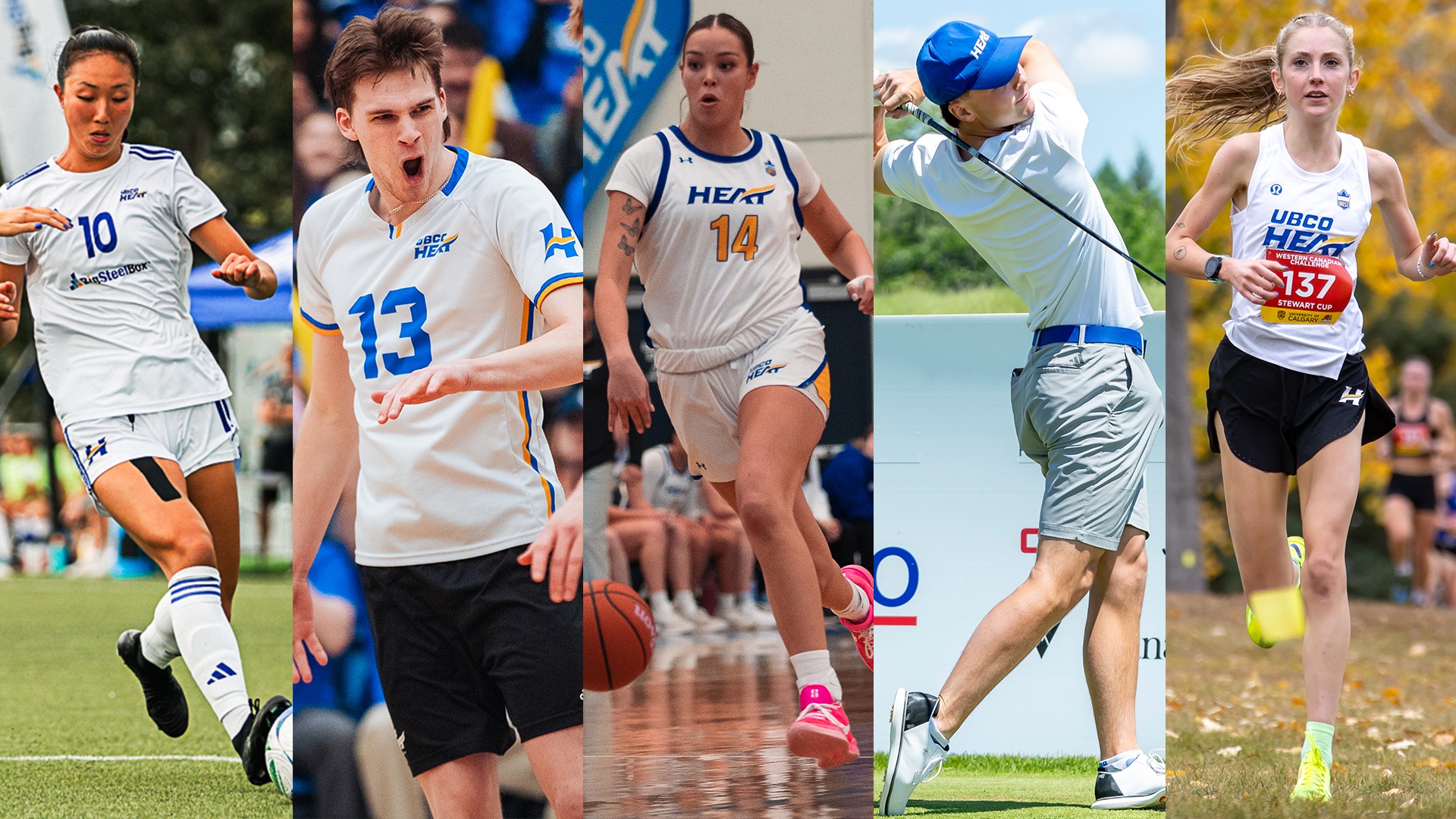From left to right in the photo are women's soccer's Megan Sun, men's volleyball's Thys Weststrate, women's basketball's Kanani Coon, men's golf's Ryan Gillis and women's cross country's Sophie Hamilton