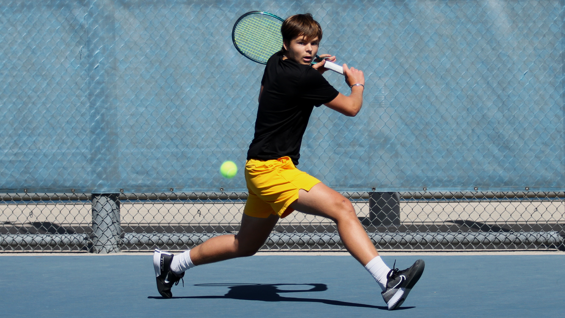 Alexey Efremov on the baseline