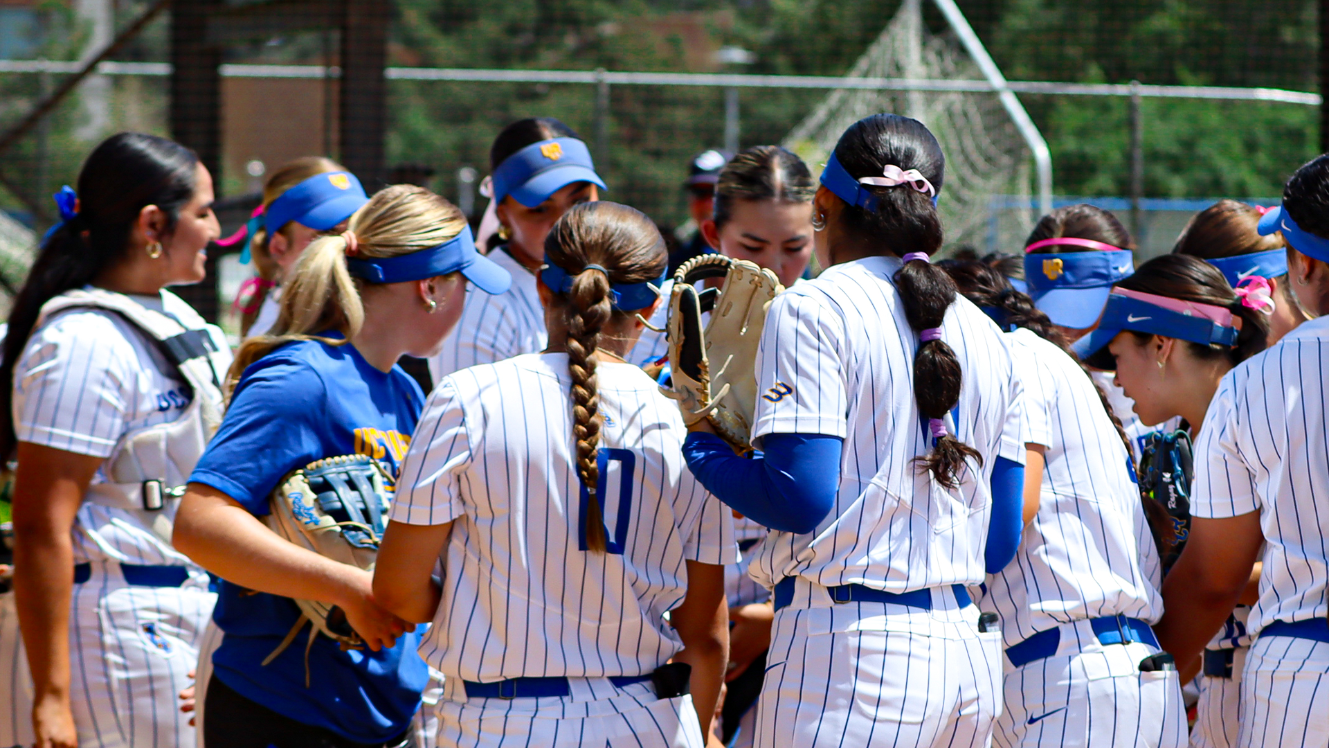Softball Team Huddle