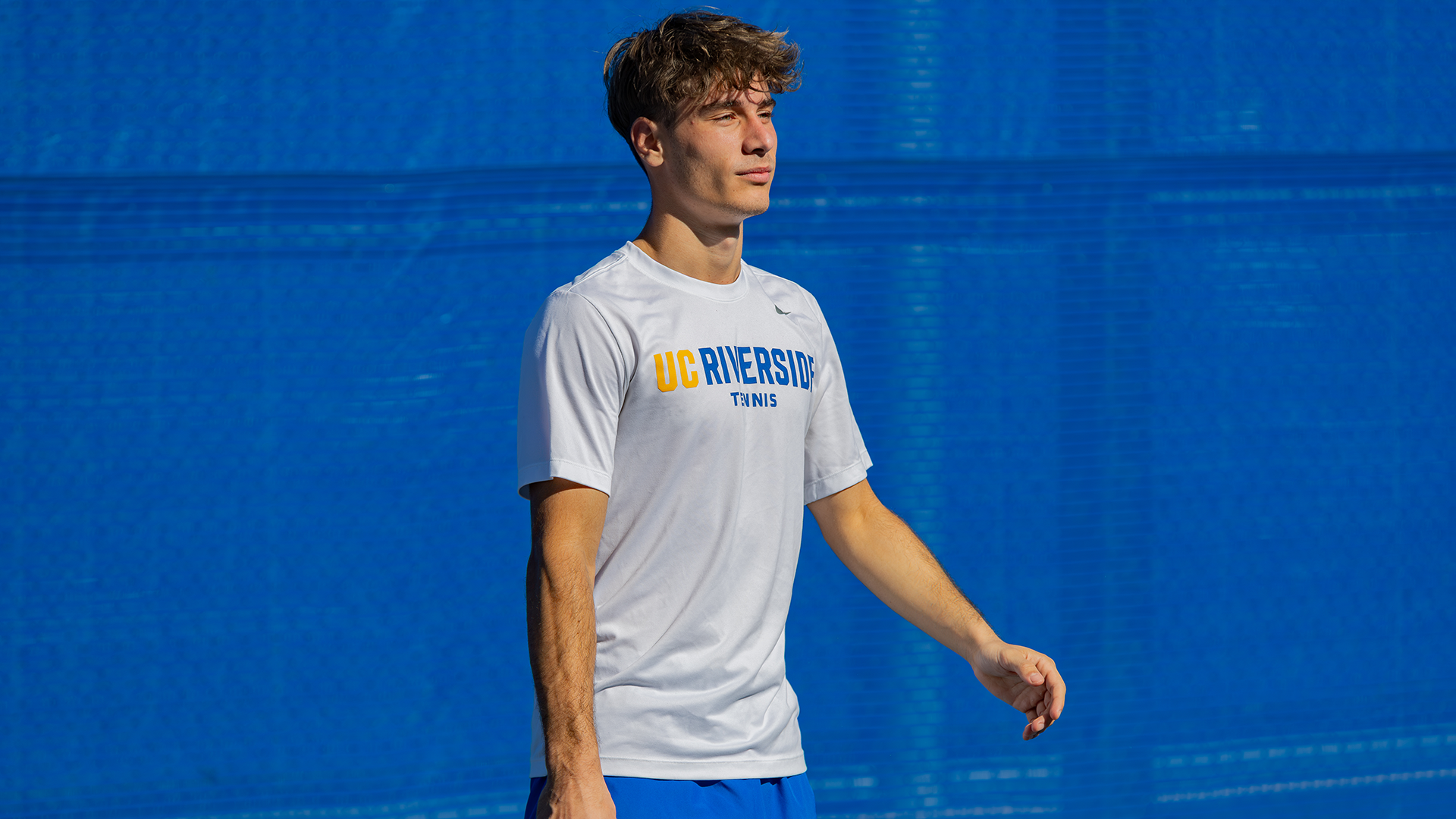 Noris Nedelcovici against UNR