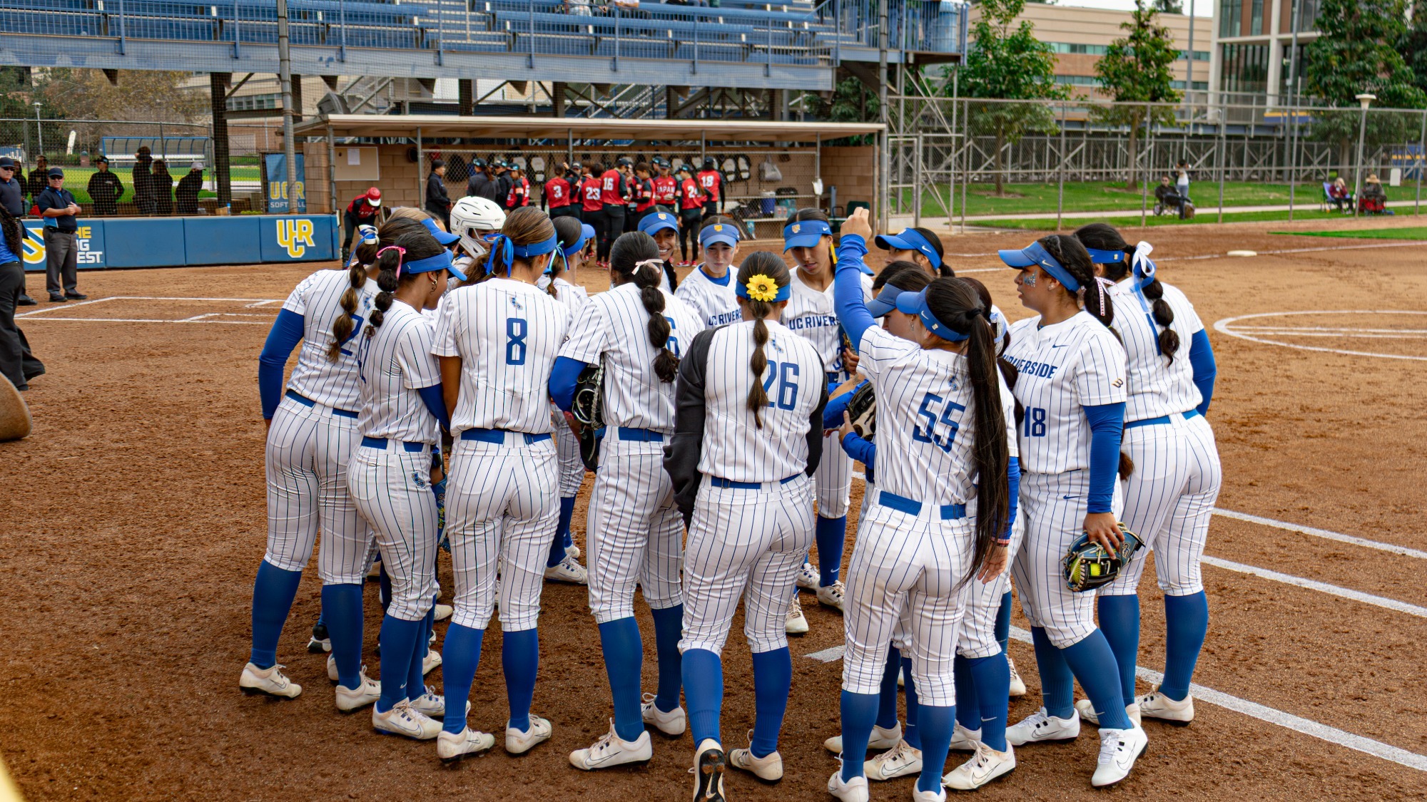 Softball Team Huddle