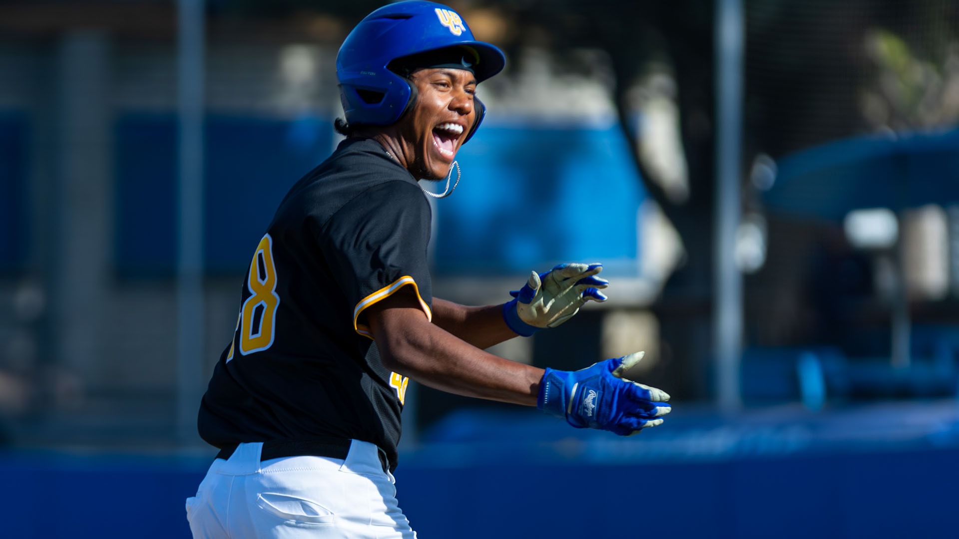 David Gibbs on base against USF