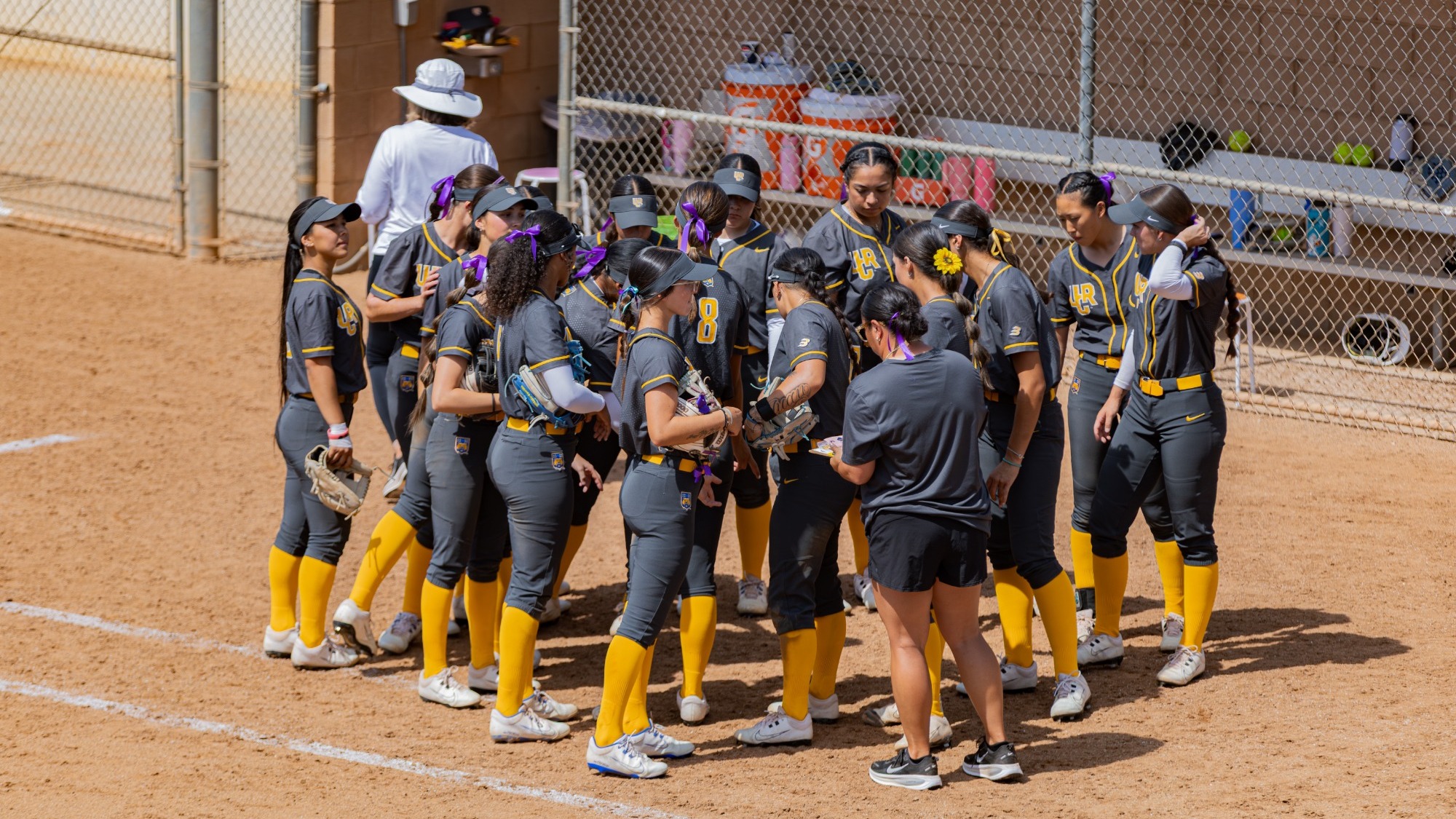 Softball Team Huddle