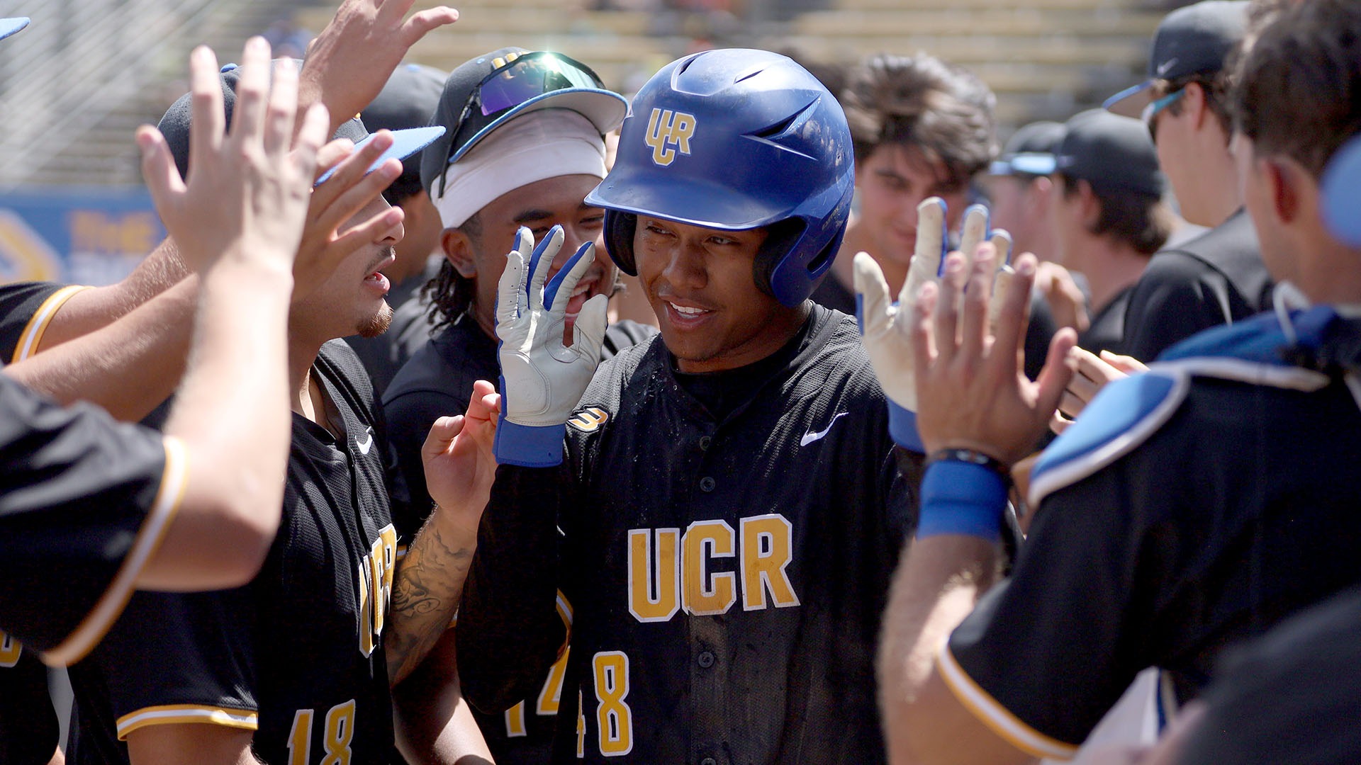 David Gibbs high fives in duggout against CSUN