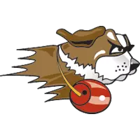 Opponent Logo