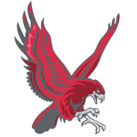Opponent Logo