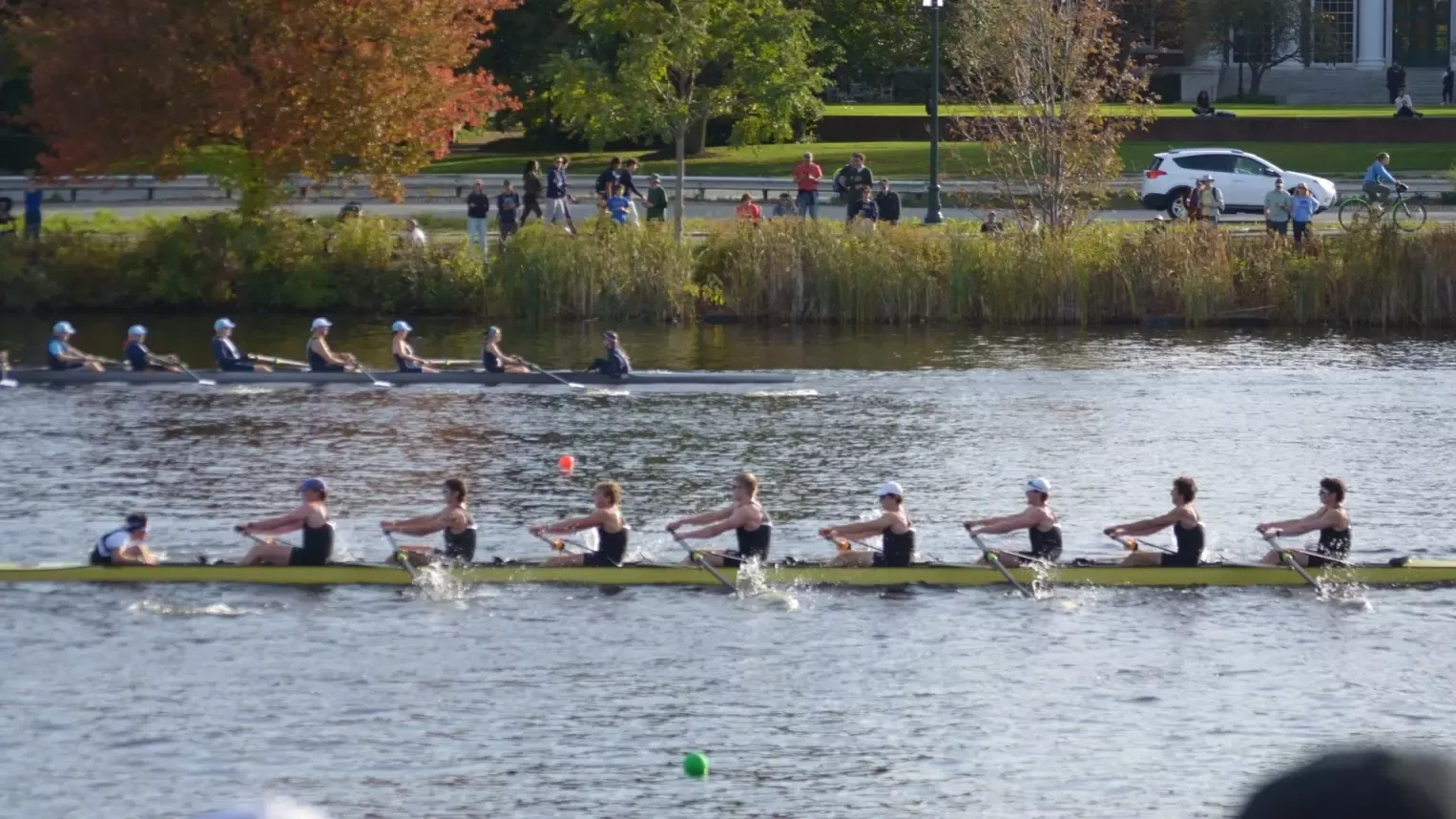 Men's rowing competes at the Head of the Charles