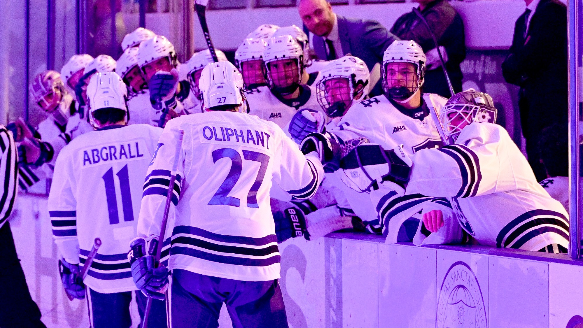 Men's ice hockey celebrates a goal