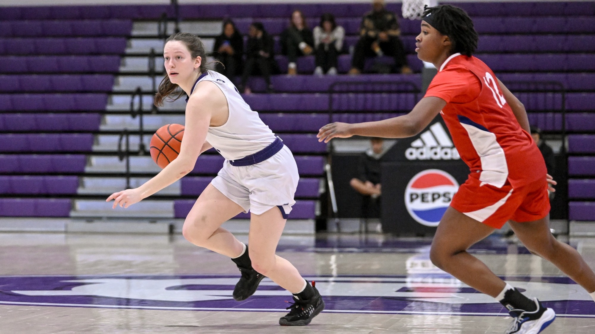 Kaitlyn Flanagan Web American