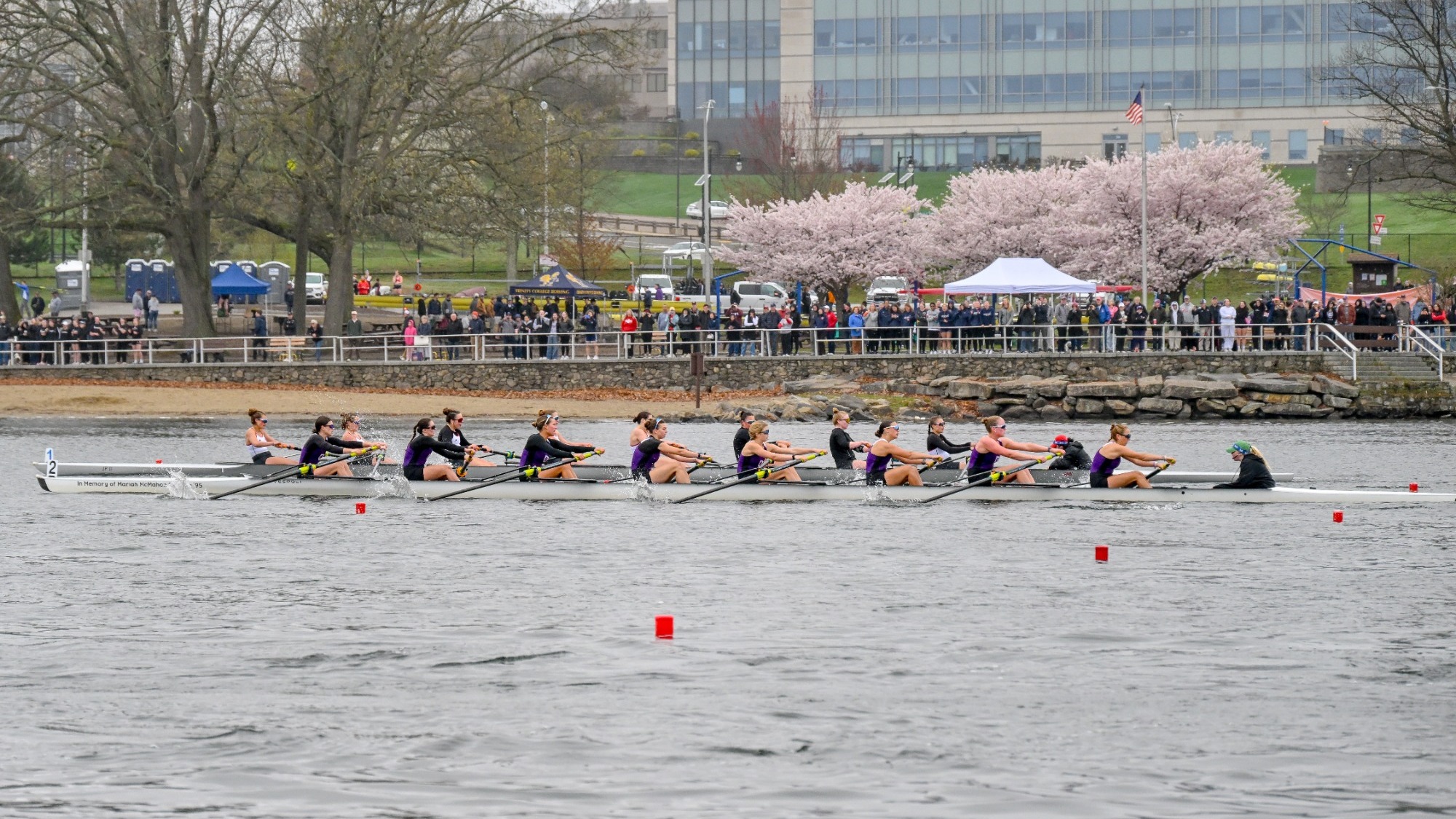 Varsity 8+