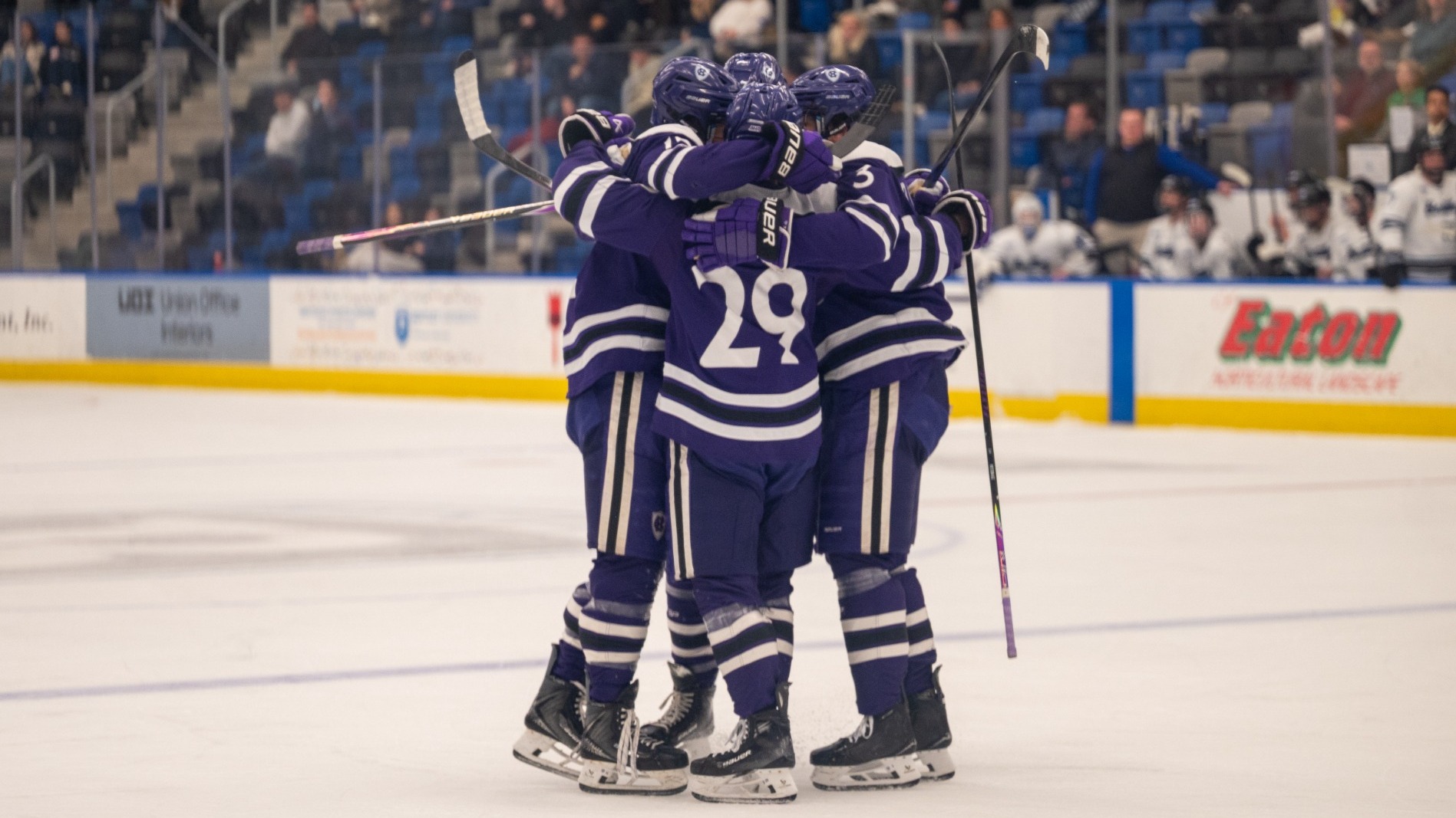 Men's ice hockey celebrates a goal