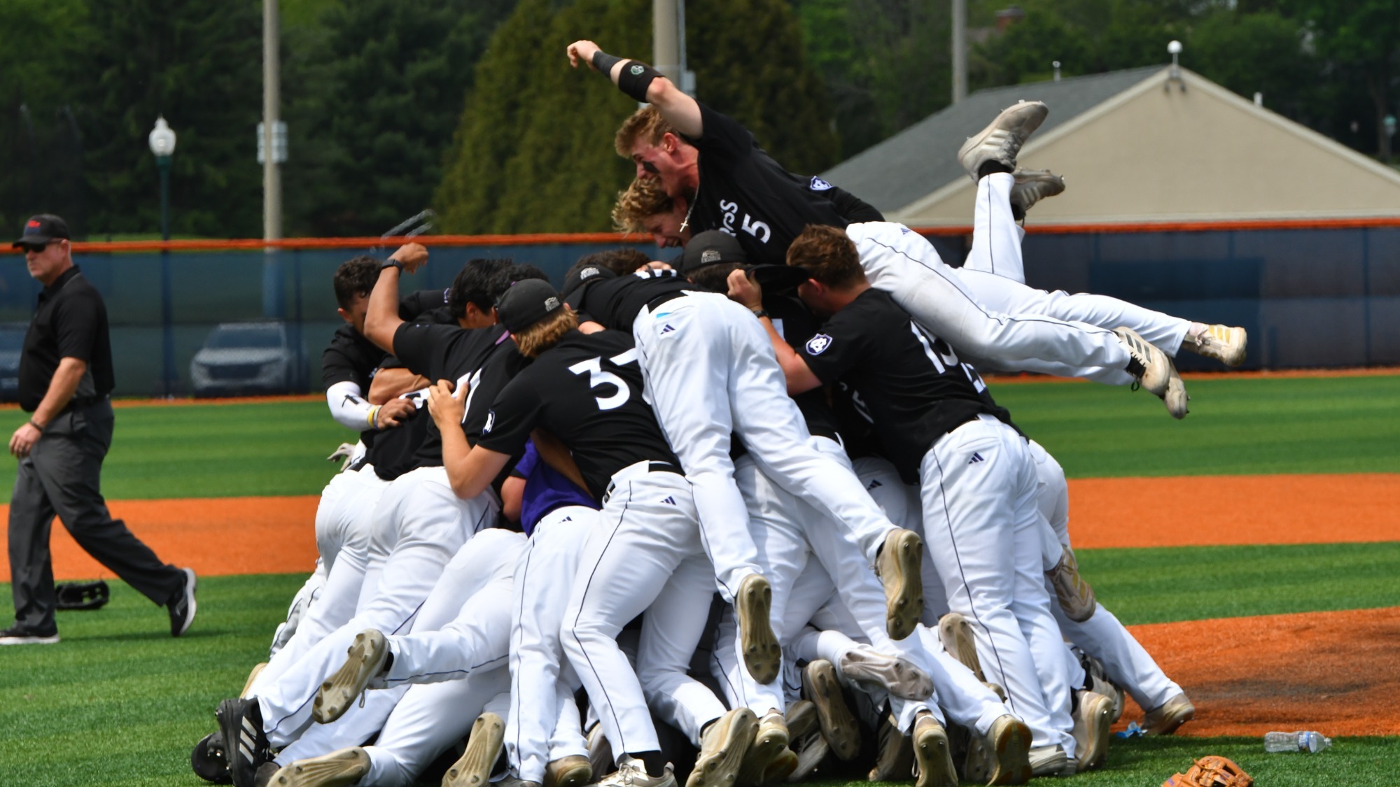 Holy Cross baseball NCAA Tournament