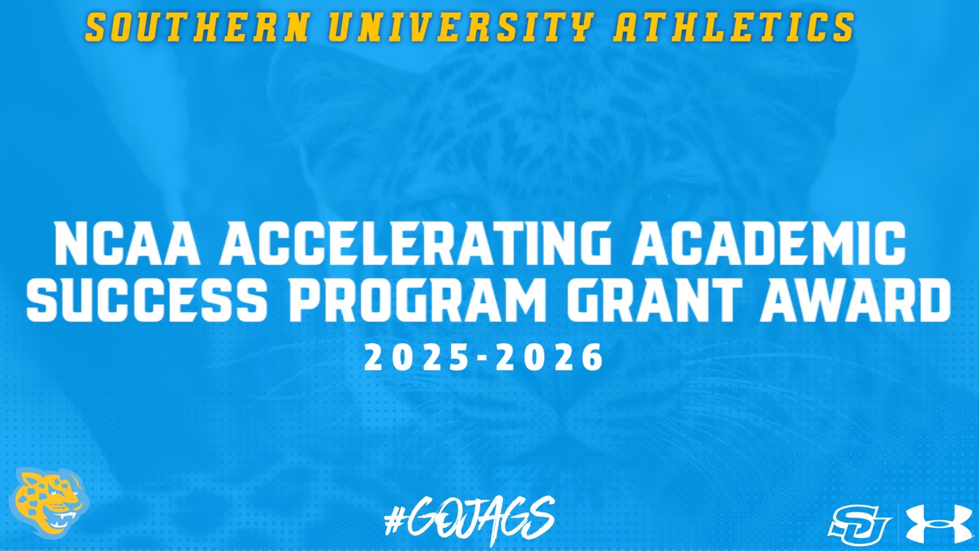 2025 NCAA AASP Grant
