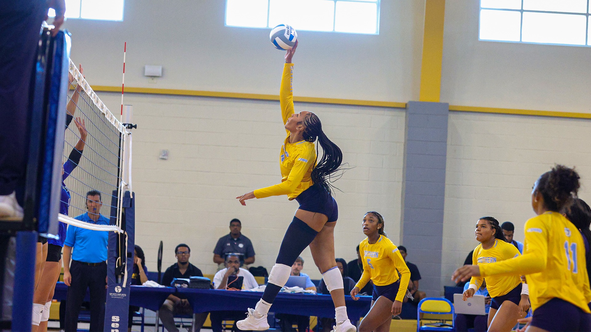 Ayana Johnson
