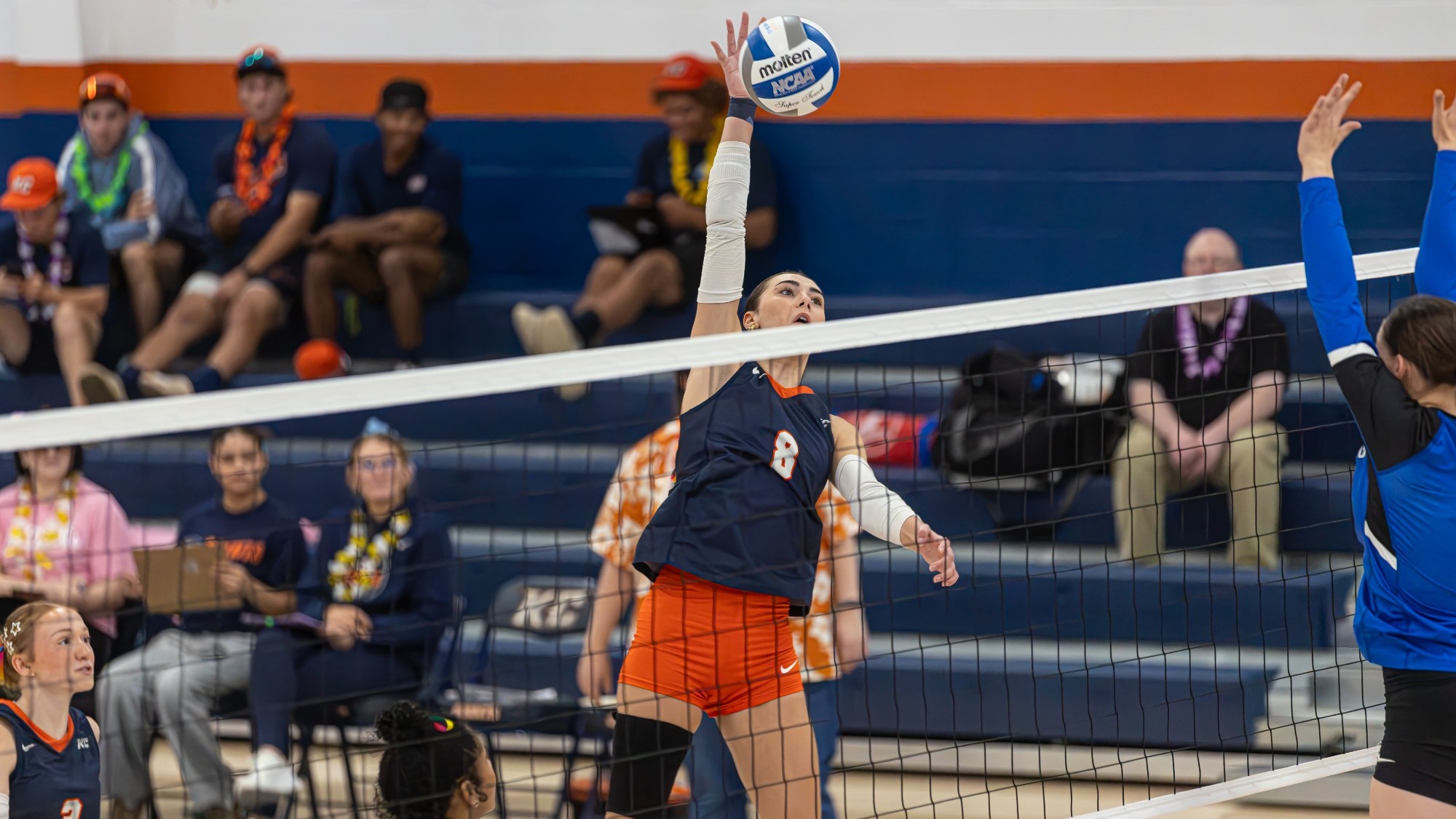  Keystone volleyball player No. 8 jumps to attack the ball at the net as an opposing player raises her arms to block and teammates watch nearby.