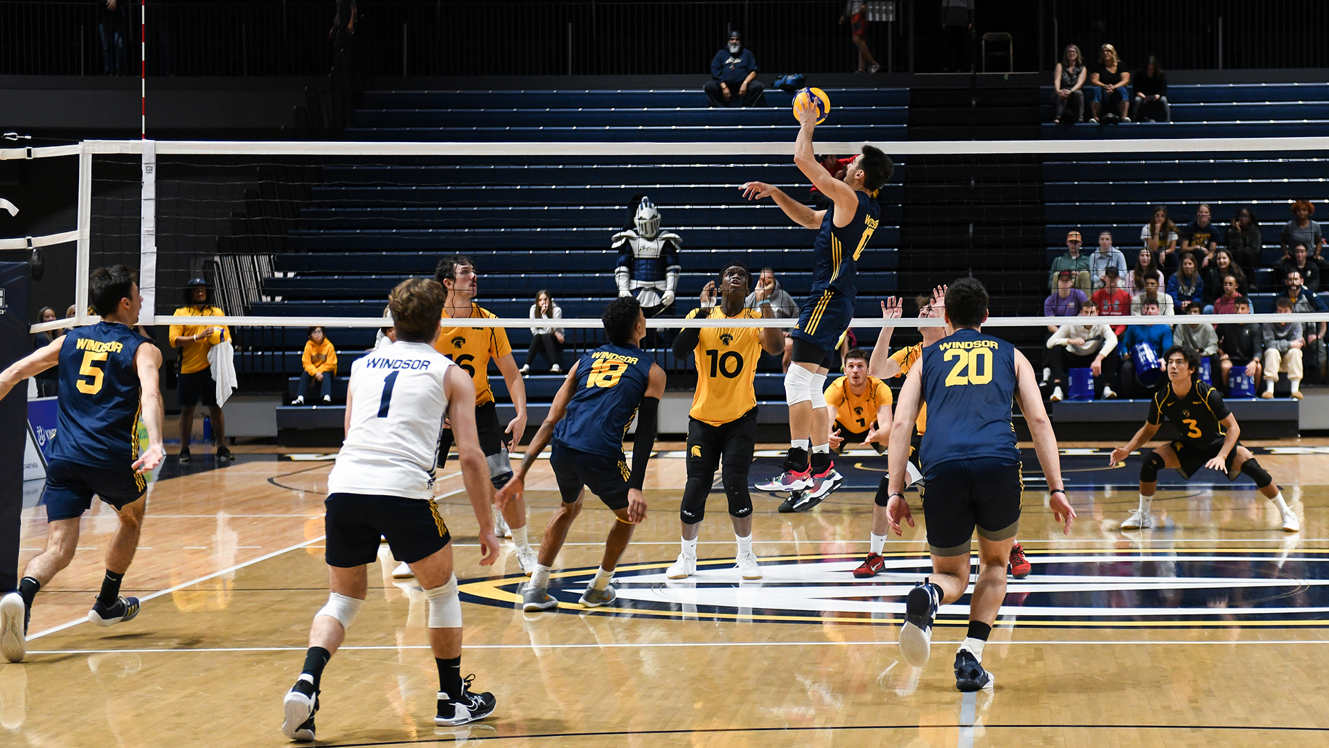 Anthony DeGirolamo Men's Volleyball Windsor Lancers