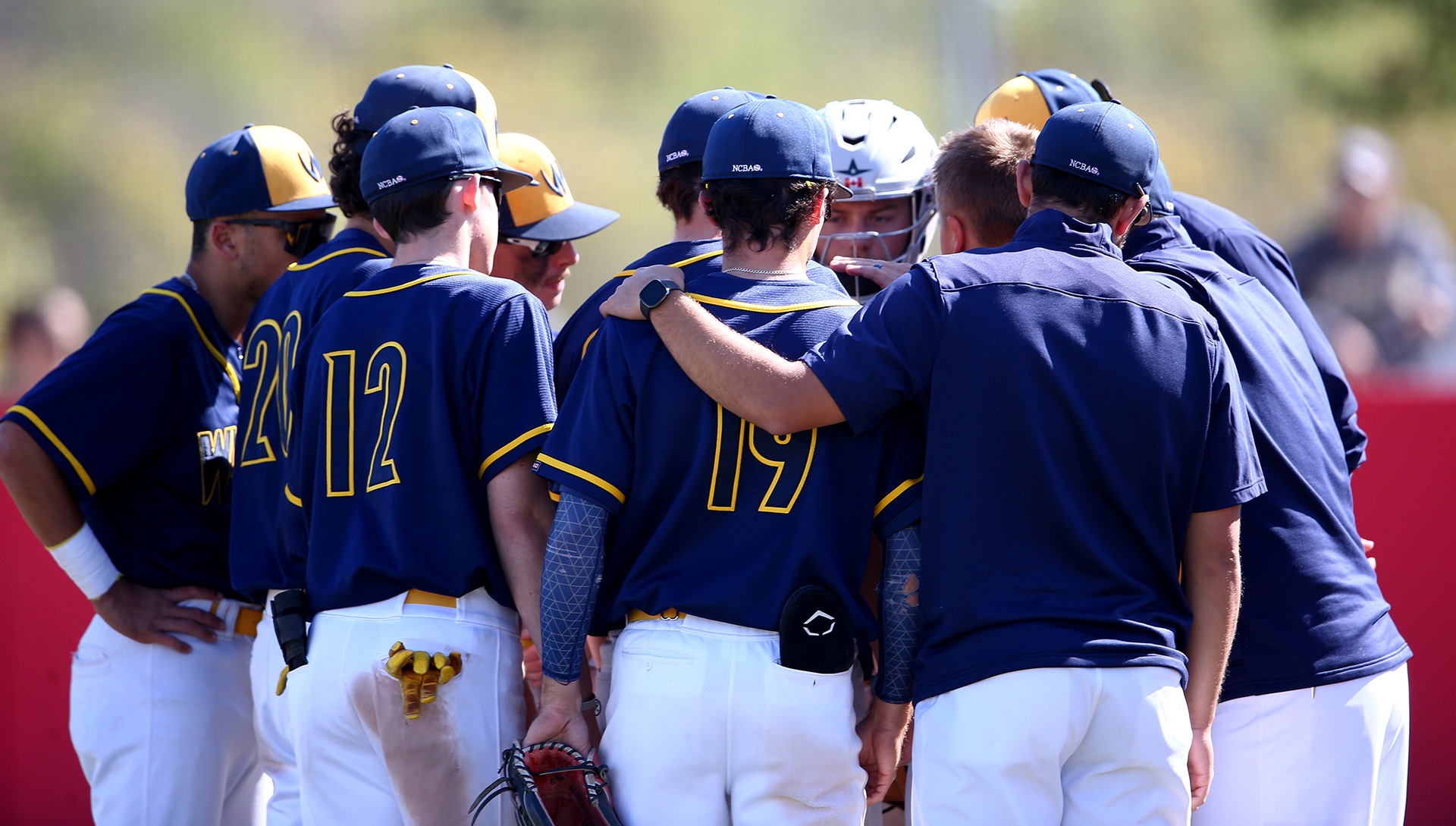 Lancer baseball announces 202425 team captains Windsor Lancers