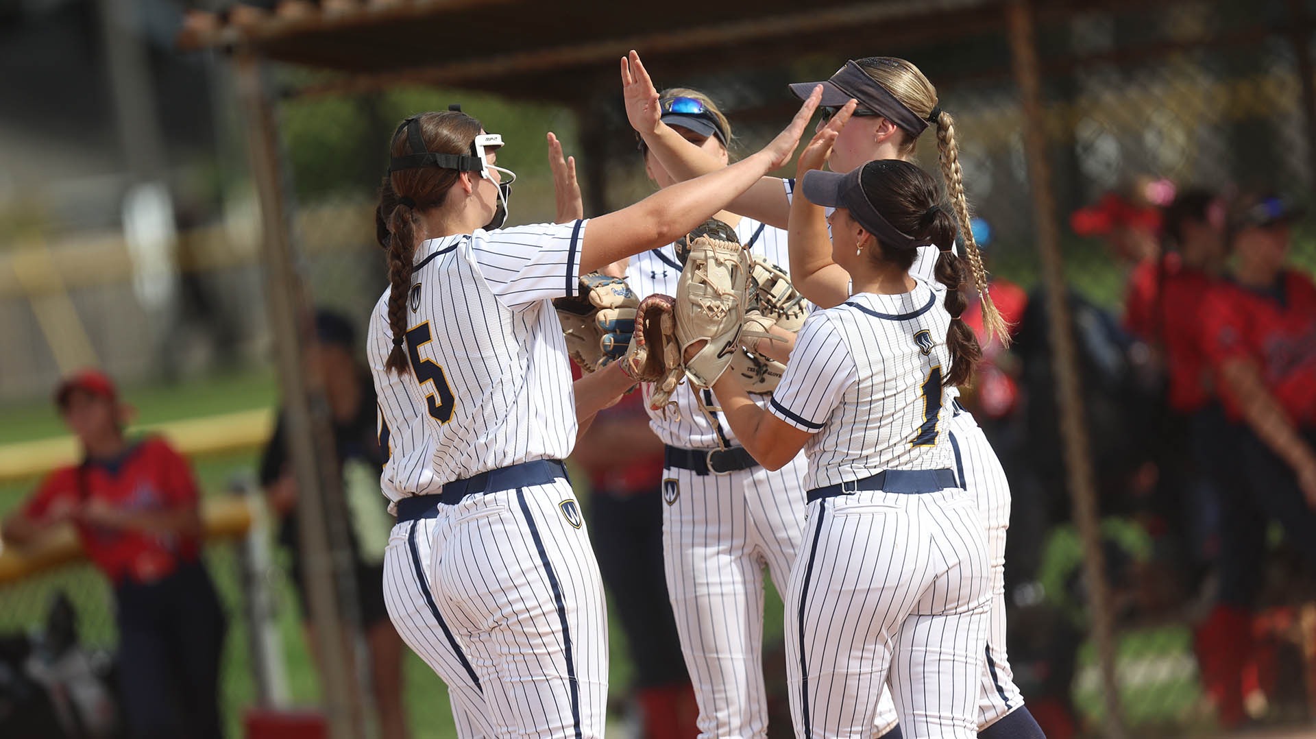 Softball vs Brock 26-27