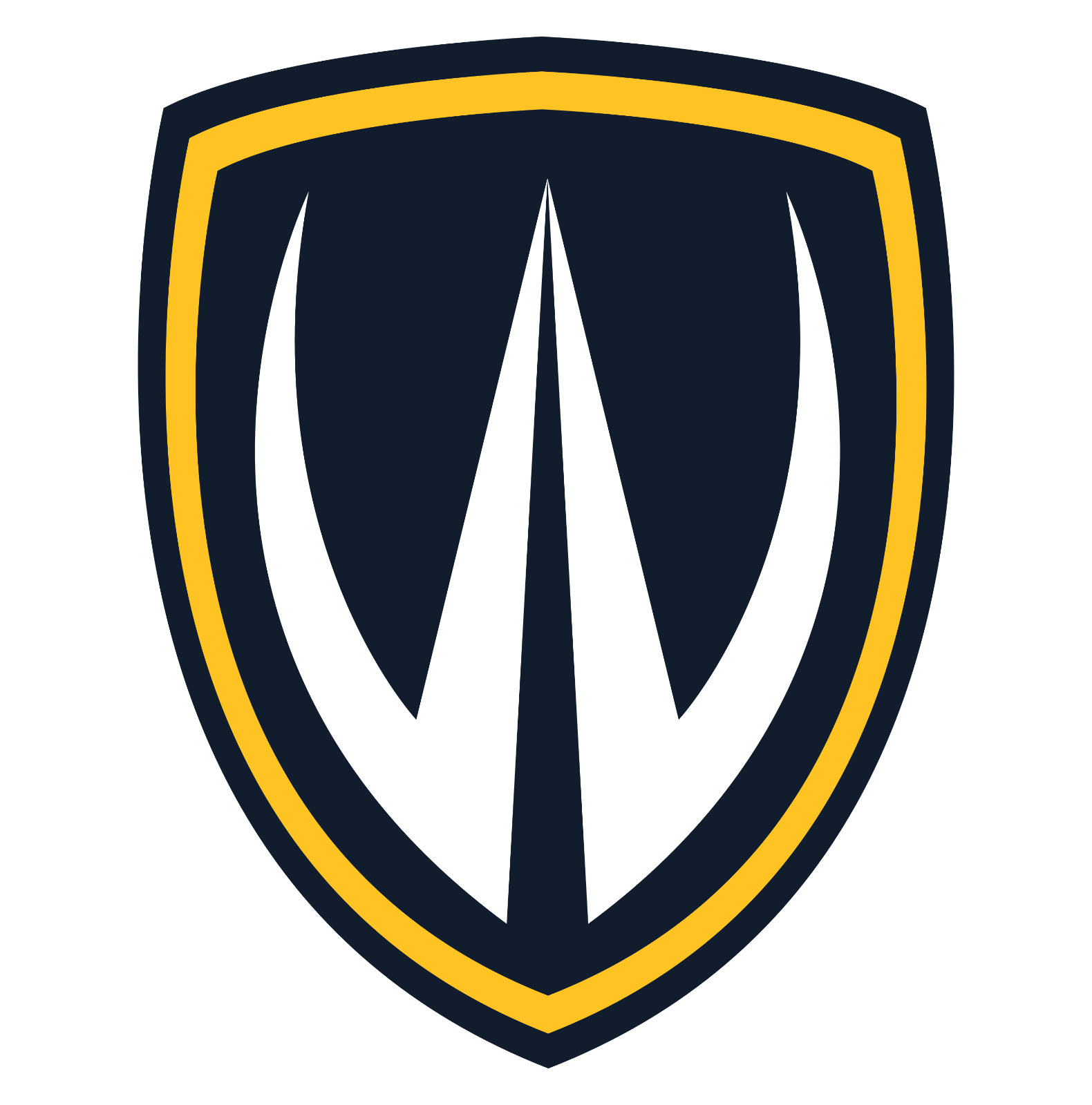 Shield 5