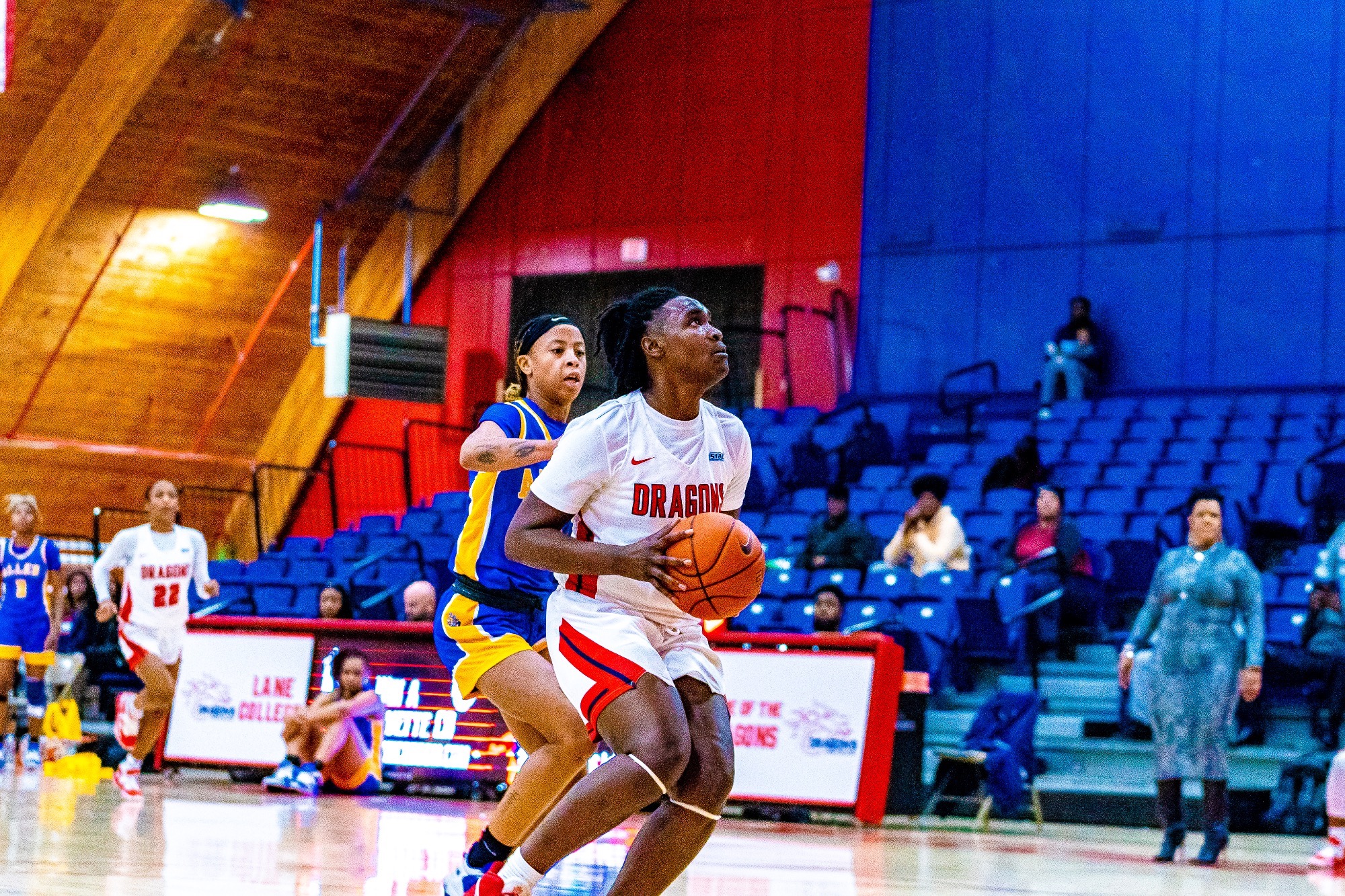 Brailyn Tate Women's Basketball Lane College Athletics