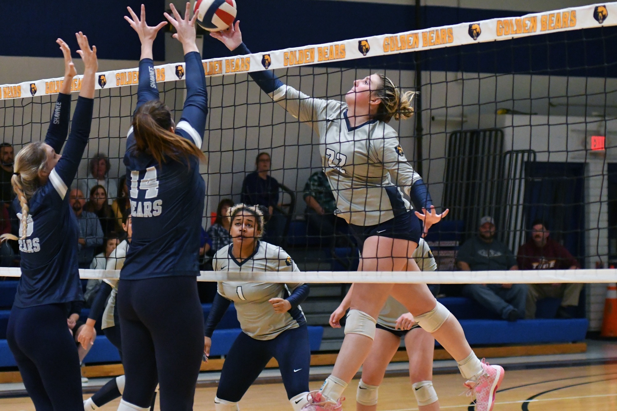 Madison Boswell 2023 Volleyball WVU Tech Athletics