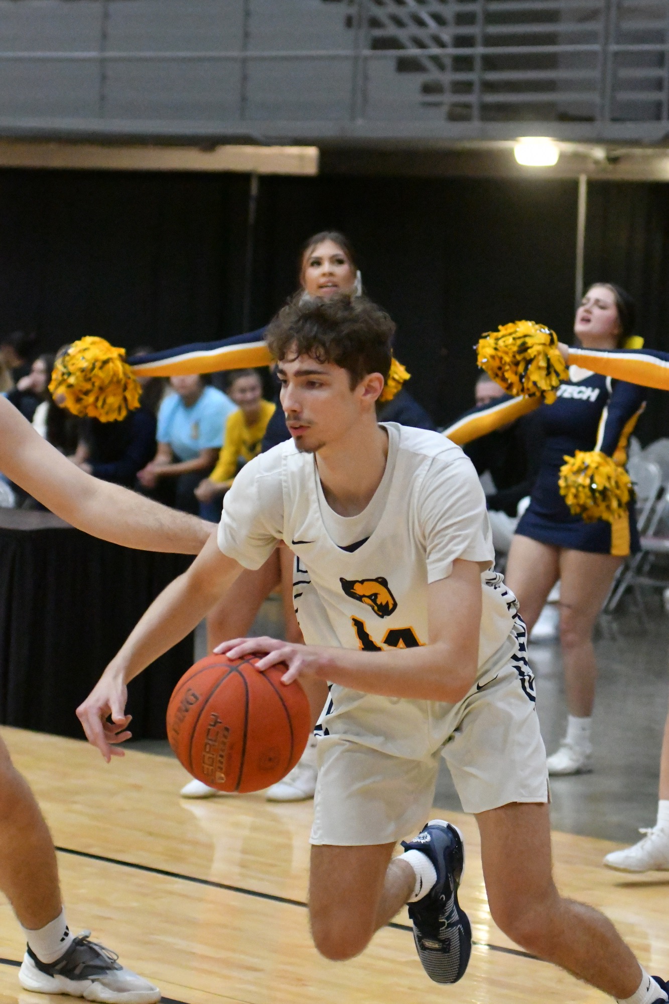 Cameron Danser 20232024 Men's Basketball WVU Tech Athletics