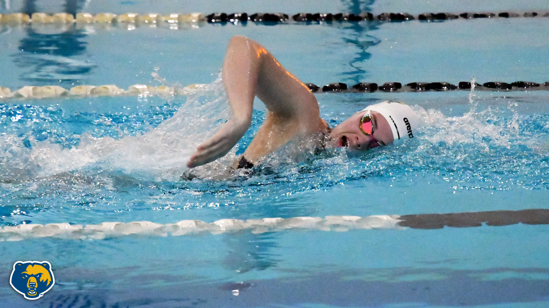 Neda V. Swim