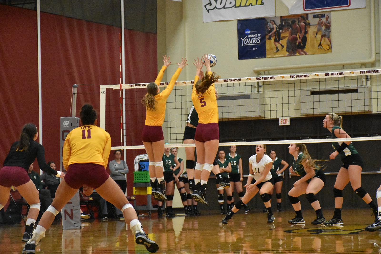 Kali Erickson 2016 Women's Volleyball University of Minnesota