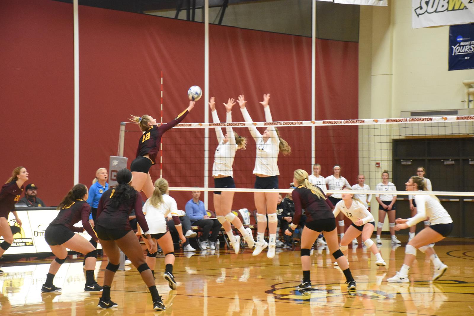 Porsha Porath 2019 Women's Volleyball University of Minnesota