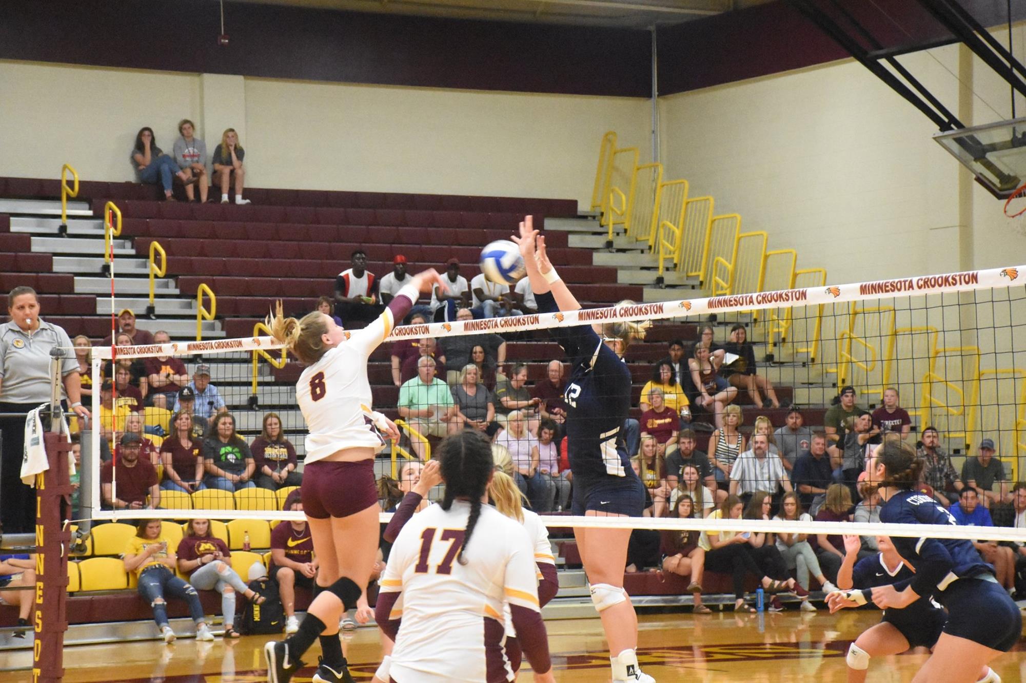 Kaitlin Sikkink 2019 Women's Volleyball University of Minnesota