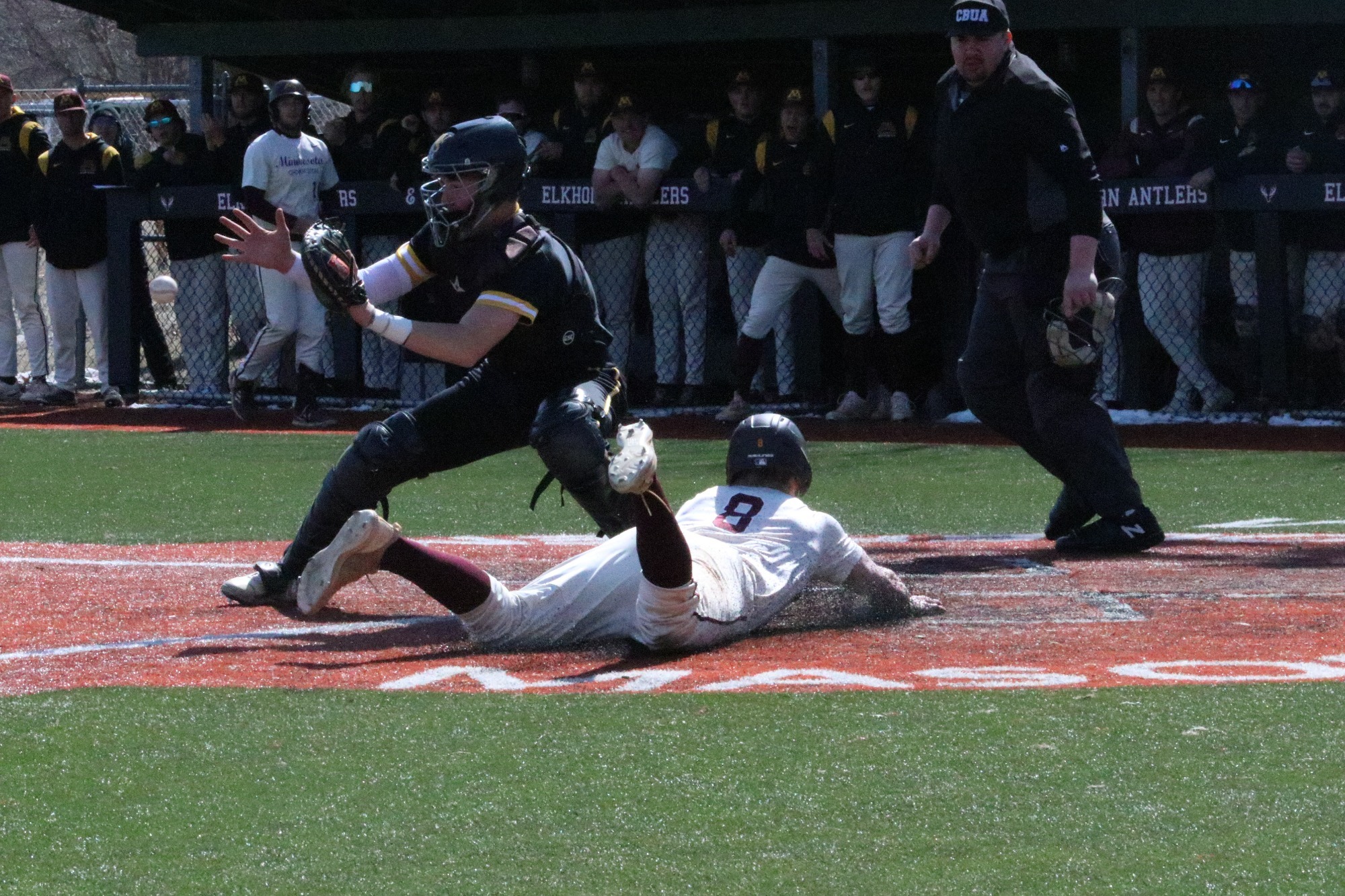 Minnesota Crookston Baseball Sweeps No. 14 Augustana University of